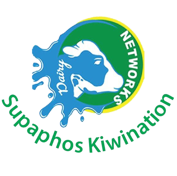 Partner Logo